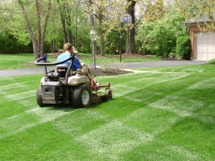 lawncare company worker mowing grass 420x315 1