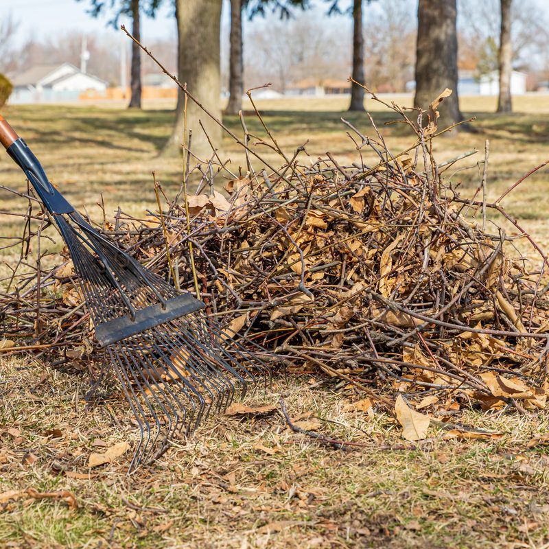 Yard debris cleanup with piles of leaves and branches ready for removal.