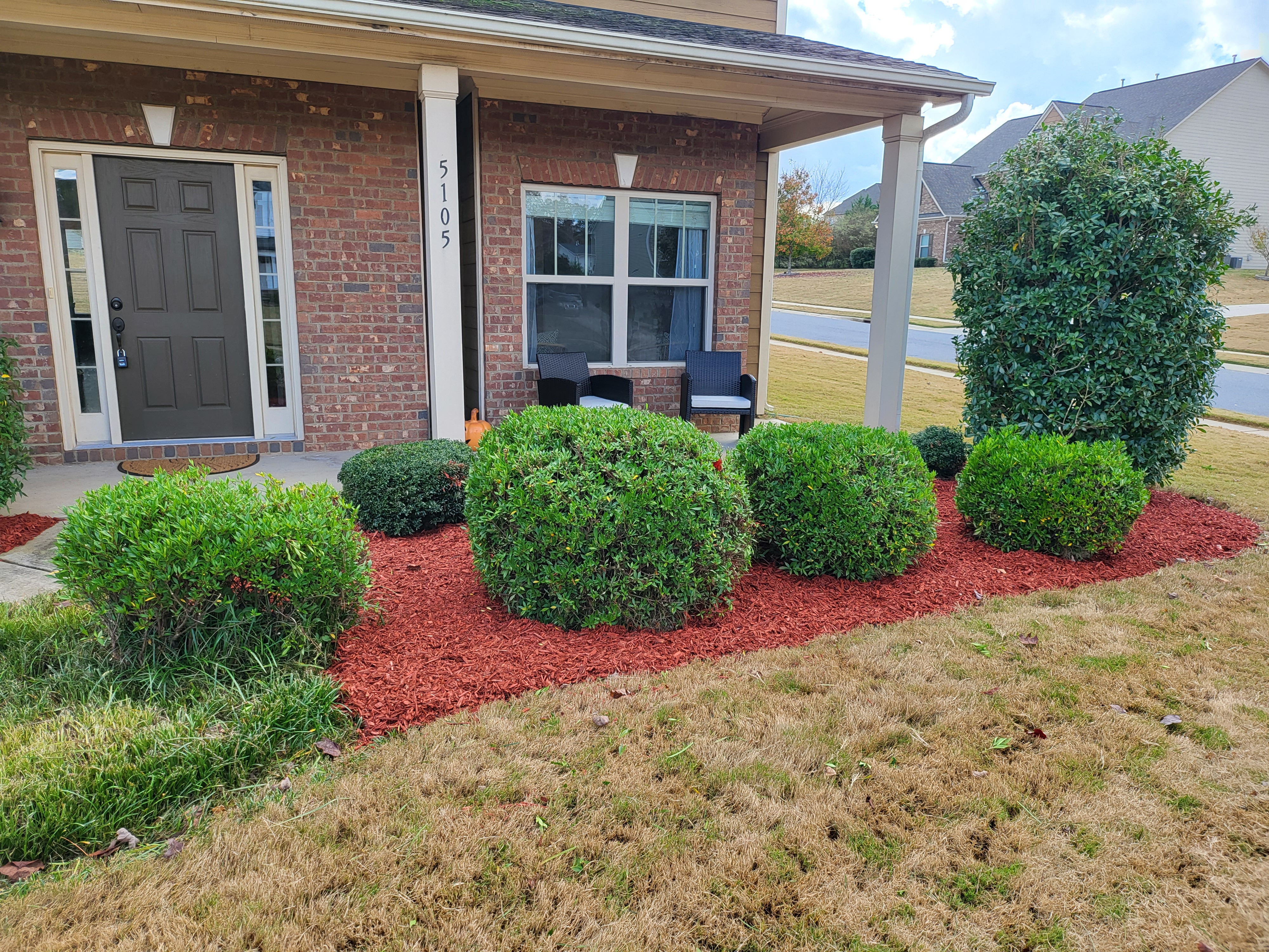 Well-maintained garden bed with neatly trimmed shrubs and fresh mulch.