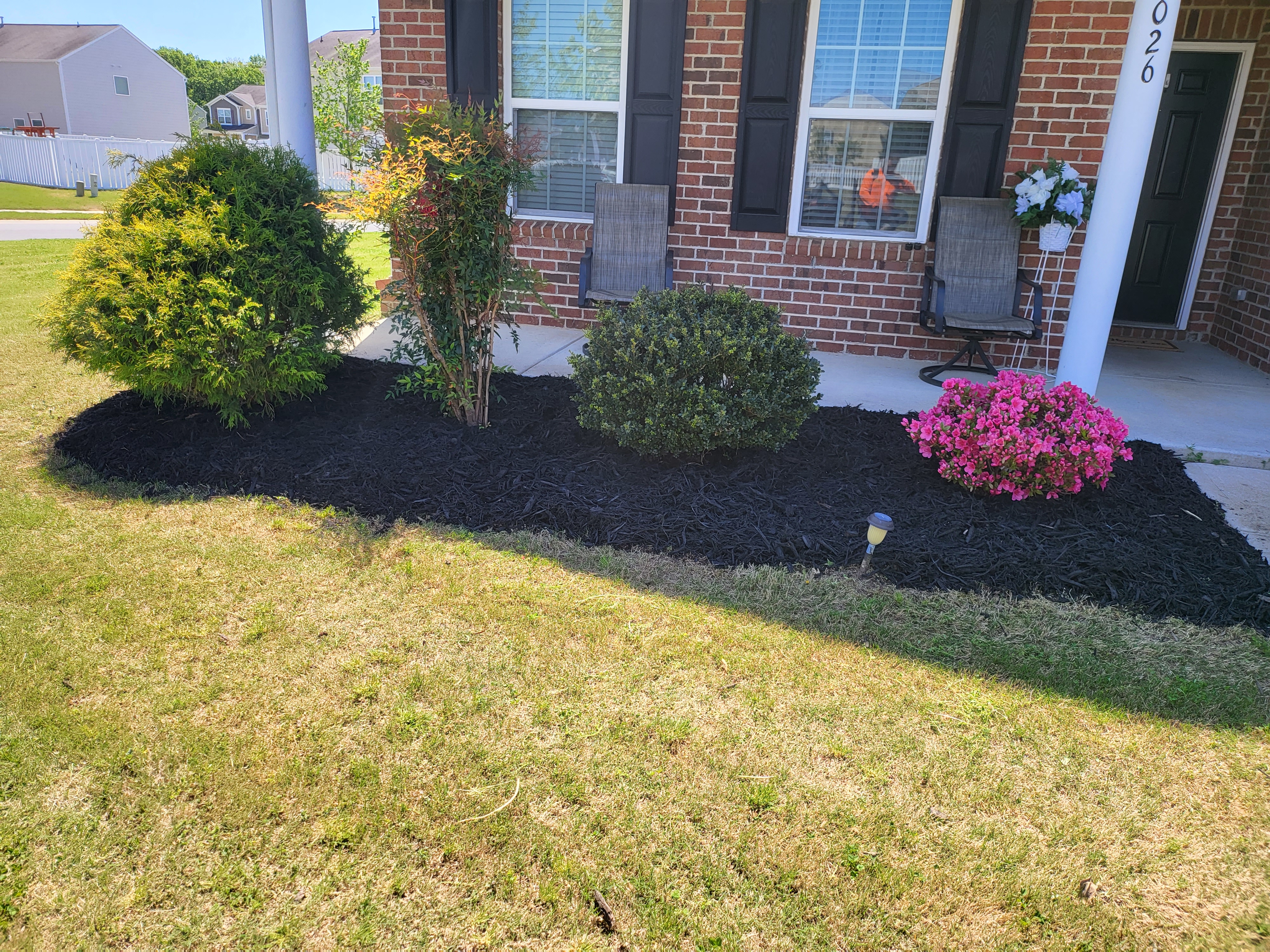 Well-maintained garden bed with fresh mulch and healthy plants.