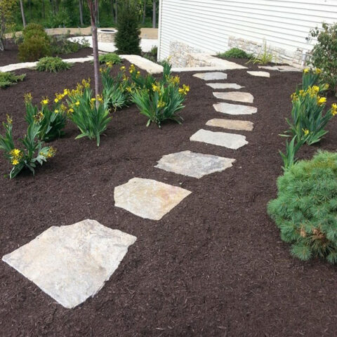 Fresh mulch applied to garden beds, enhancing soil health and landscape appearance.