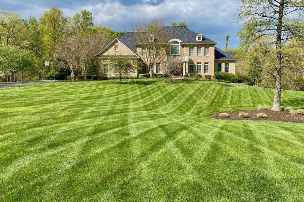 A detailed photo of a professional Charlotte nc lawn care team working