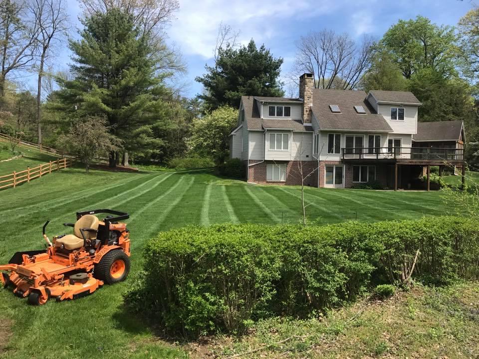 Alt text: "Hyperrealistic photo of a manicured summer lawn with sprinklers, flowers, and blue sky."